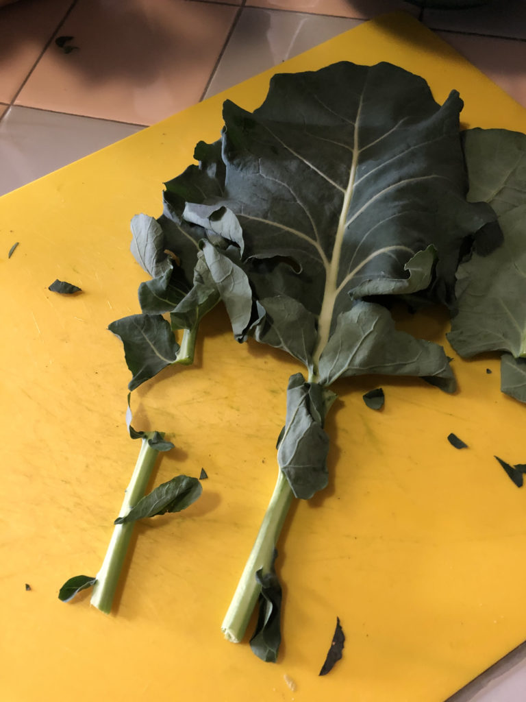 separating the leaves from their stems