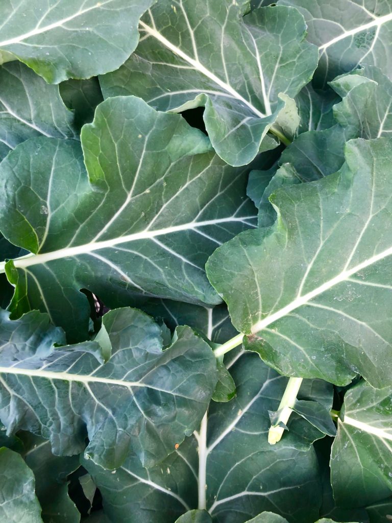 broccoli greens