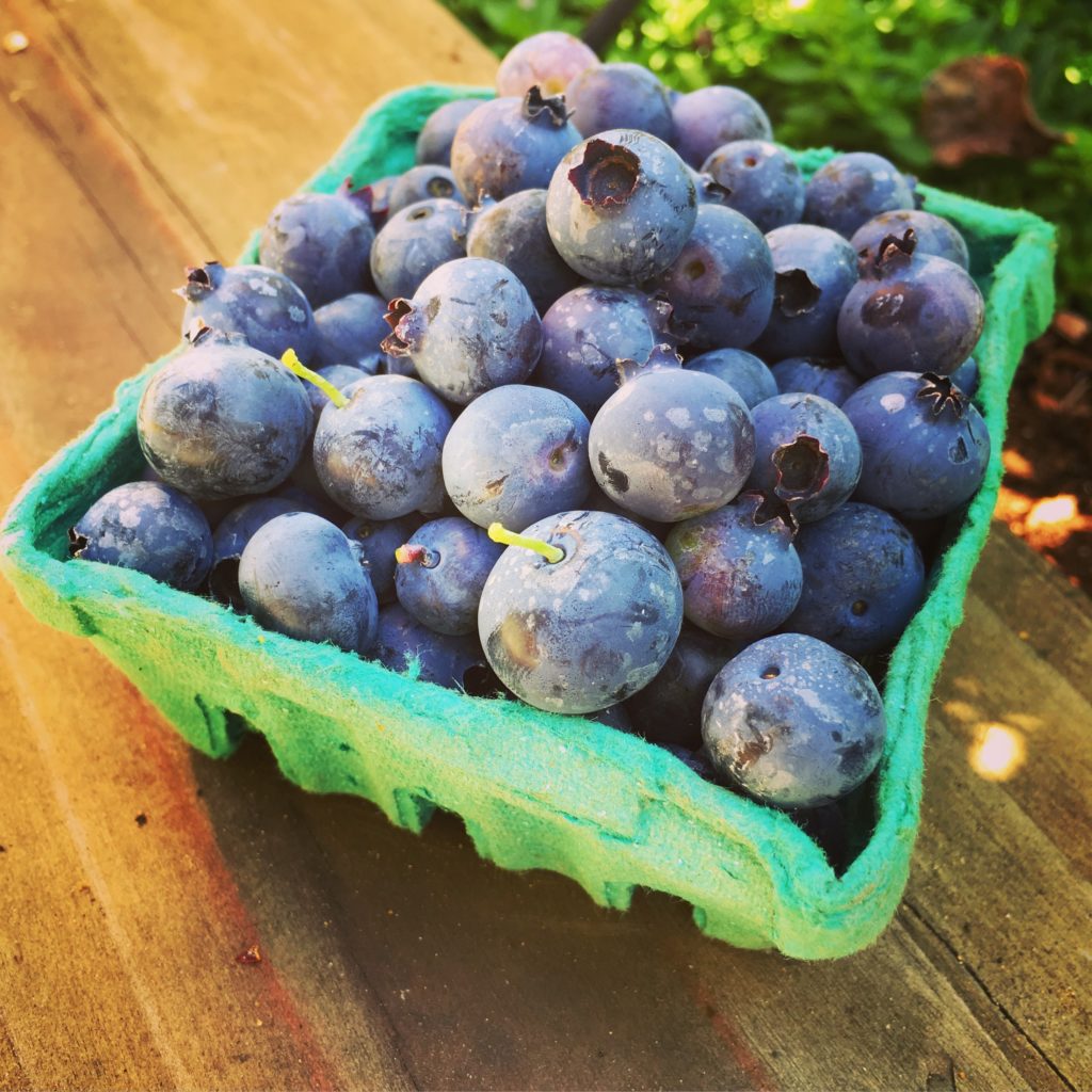 carton of blueberries